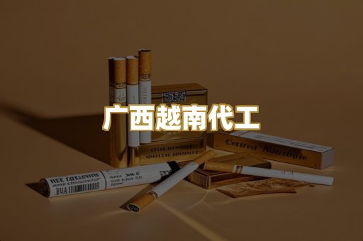 广西越南代工